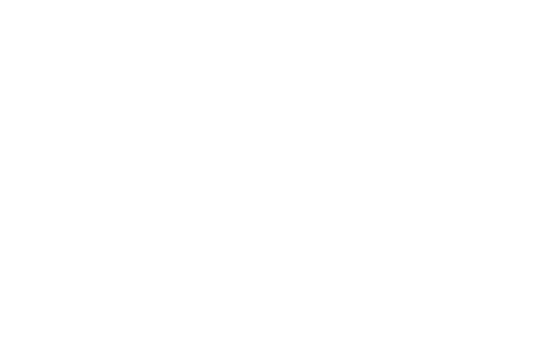 Special Jury Remi Award - Home Free Theatrical Drama Original - WorldFest-Houston International Film Festival 2025-2